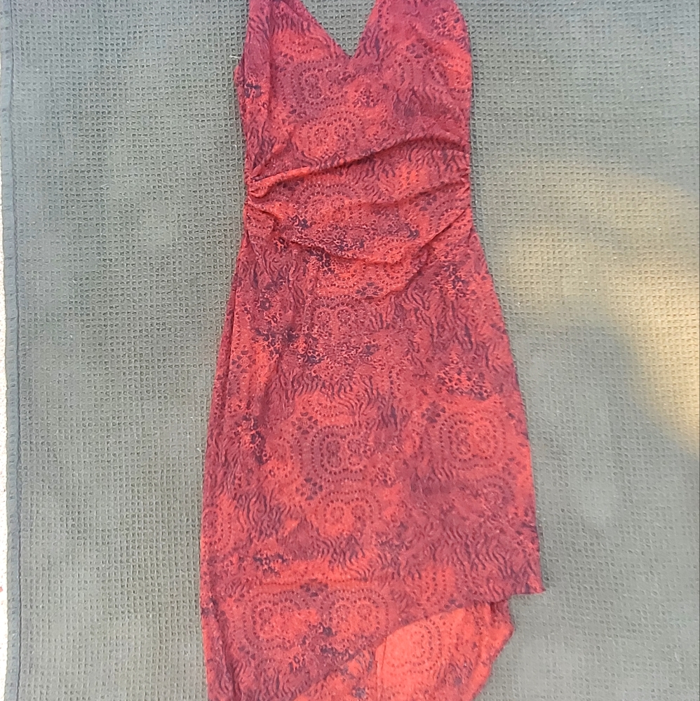 Animal Print dark red David Meister Asymmetrical Halter Dress